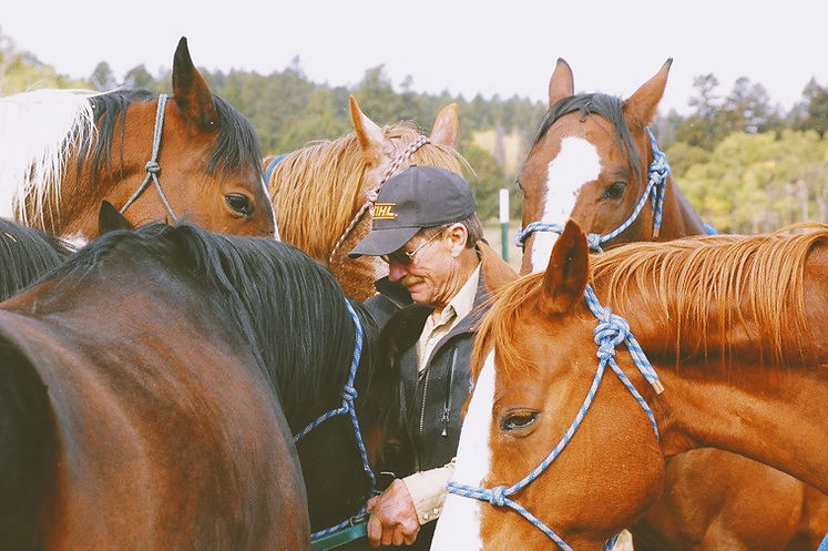 Copy of 51FFEBA7-8EF6-4500-92D7-74DAD832DB66.jpg