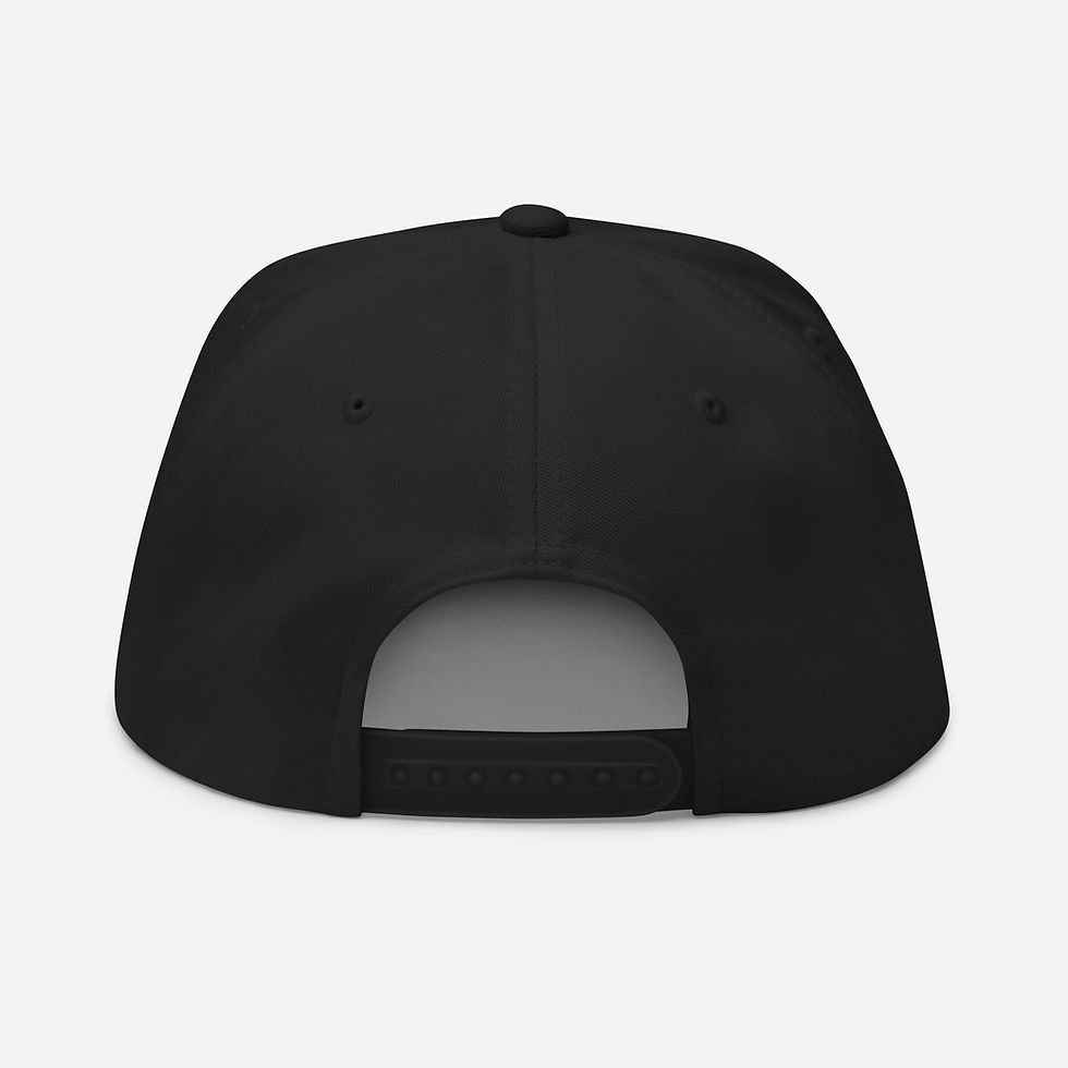Thumbnail: Lens Ninja Yo Flat Bill Cap