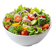 vecteezy_fresh-mixed-salad-with-lettuce-tomatoes-cucumbers-bell_47830744.png