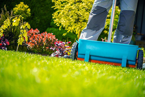 vecteezy_spring-fertilization-of-grass_24634238.jpg
