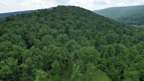 Land Trust of Virginia Announces Two Easements in Rappahannock County 