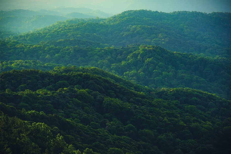 Green Hills_edited.jpg