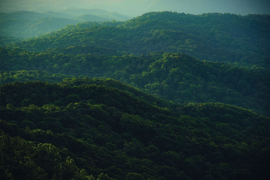 Green Hills_edited_edited_edited.jpg