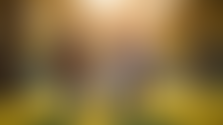 Finding the Perfect Family Photography Package