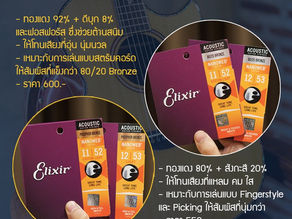 สายกีตาร์โปร่ง Elixir 80/20 Bronze VS Phosphor Bronze