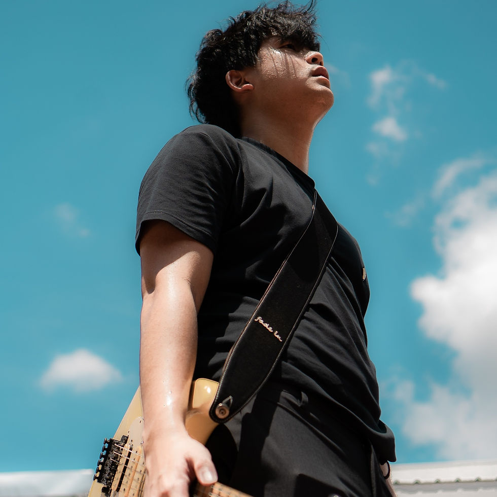 Thumbnail: Fade in Crossfade Strap (BlackBeige)
