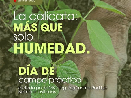 La calicata: Más que solo humedad.