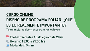 ¡Nuevos cursos para AGOSTO!