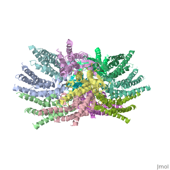 2ZW3.gif