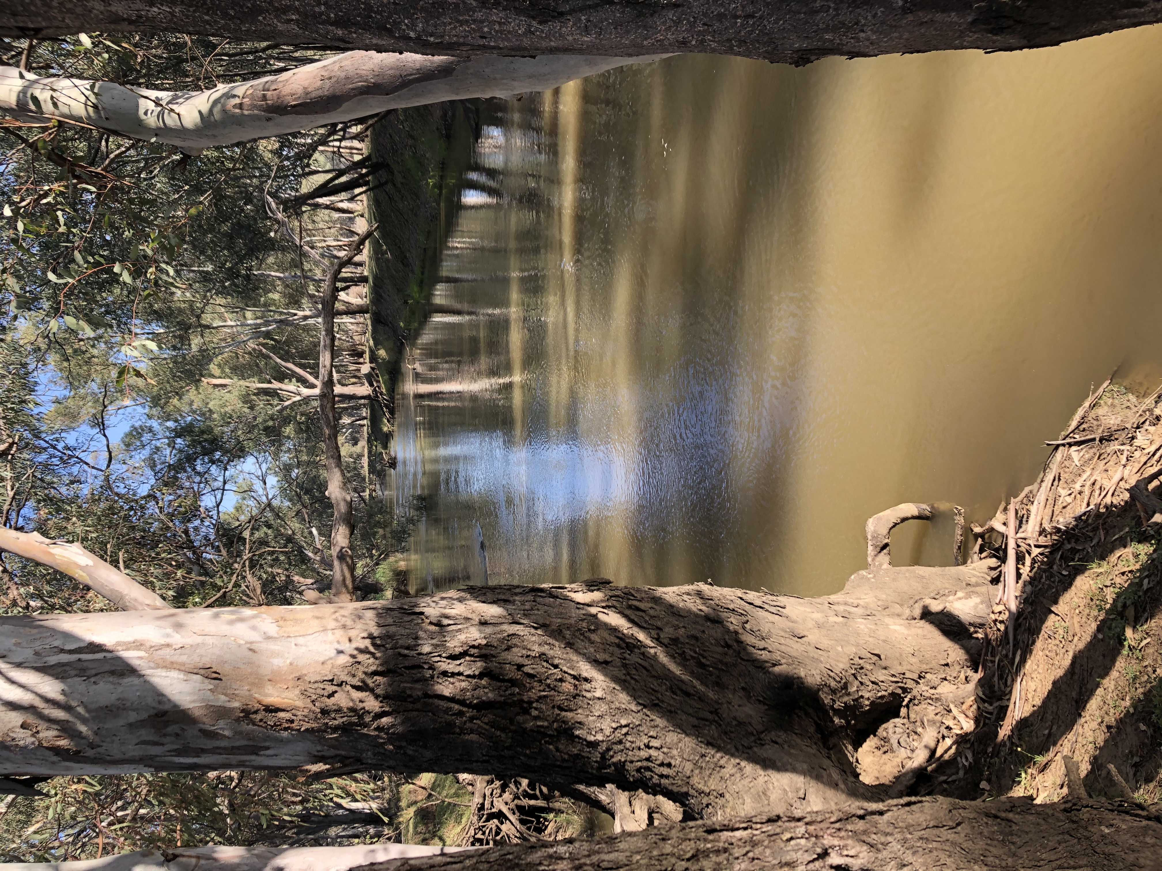 The River - Yarrabandai Creek Homestead
