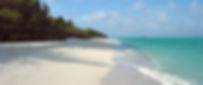 Tropical beach background with a calm torquoise sea, empty tranqual white sandy beach with a breeze in the surrounding trees.