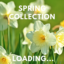 mandarin lime & basil (4).png