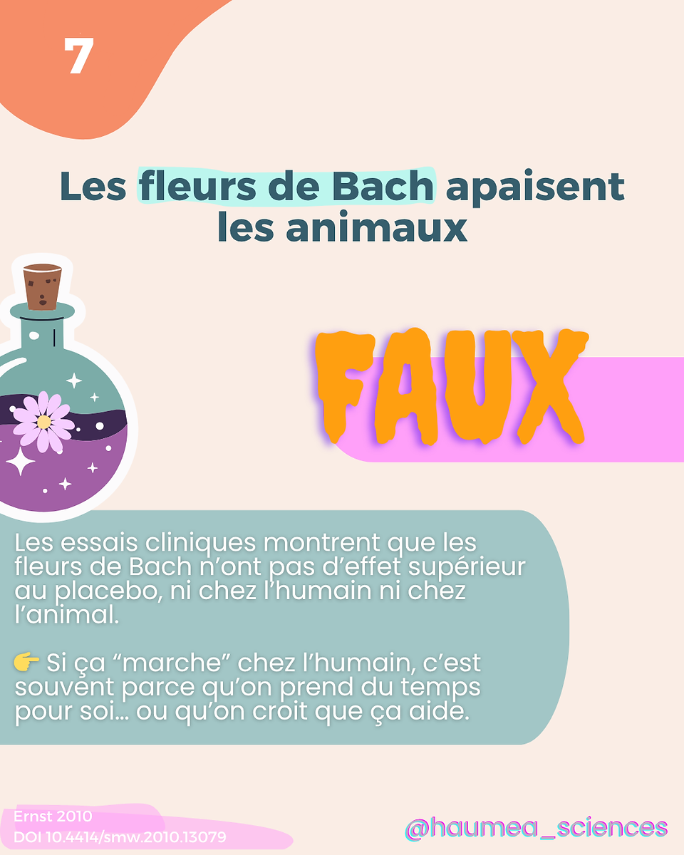 Infographie sur la croyance “Les fleurs de Bach apaisent les animaux”, jugée fausse. Les études montrent aucun effet supérieur au placebo chez l’humain ou l’animal.