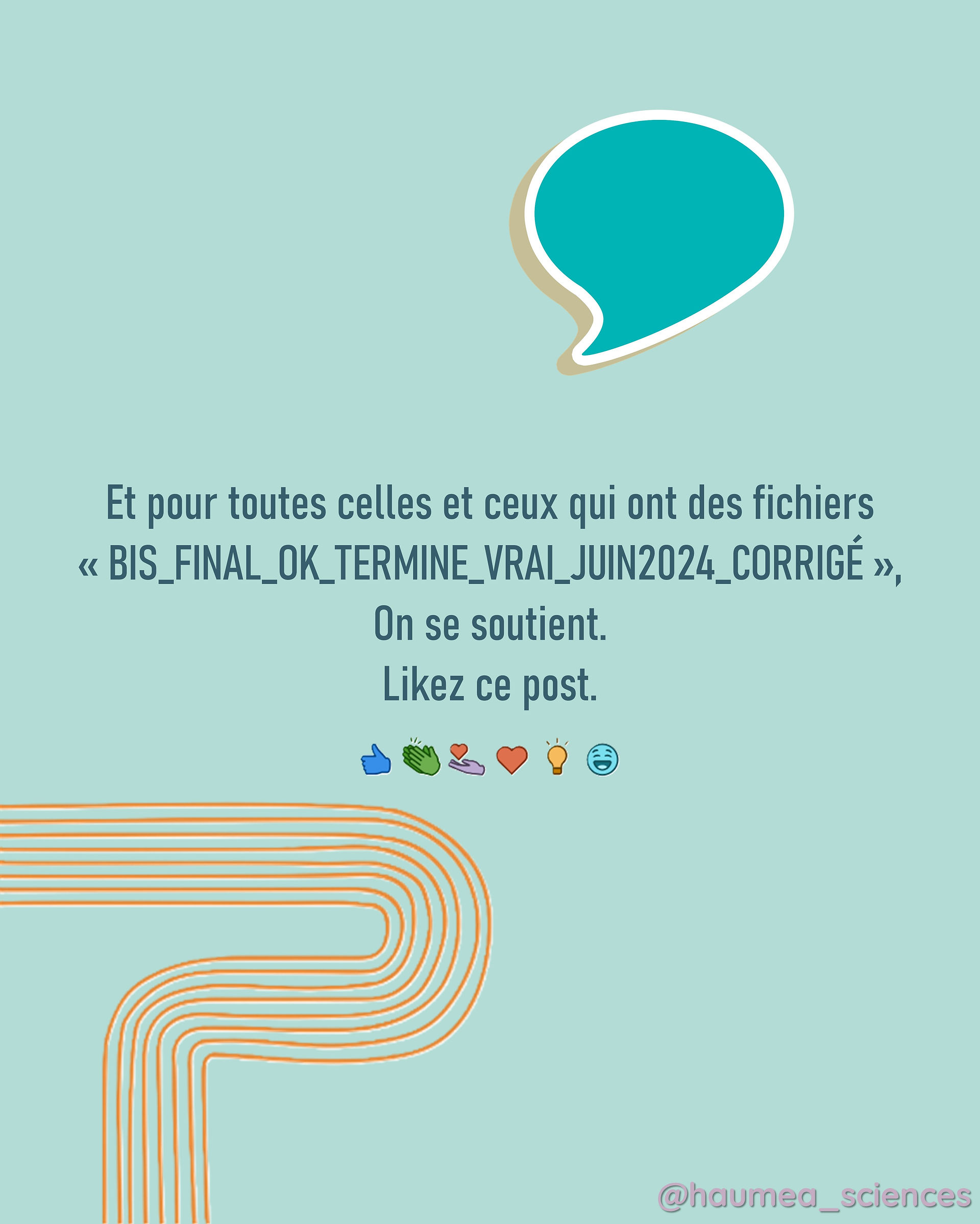 Message de clôture humoristique du carrousel “Petits secrets de chercheurs” : soutien à toutes celles et ceux qui nomment leurs fichiers “BIS_FINAL_OK_TERMINE_VRAI_JUIN2024_CORRIGÉ”. Appel à l’interaction avec emojis et clin d’œil à la réalité académique.
