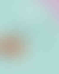 Secret numéro 10 des chercheurs en SHS : “Ils n’ont pas de blouse blanche, mais beaucoup de rigueur.” Une illustration qui rappelle que les sciences humaines sont scientifiques, autrement.