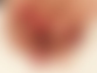 定額デザイン