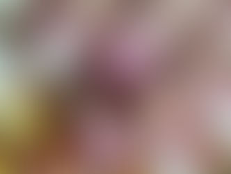定額サンプルネイル