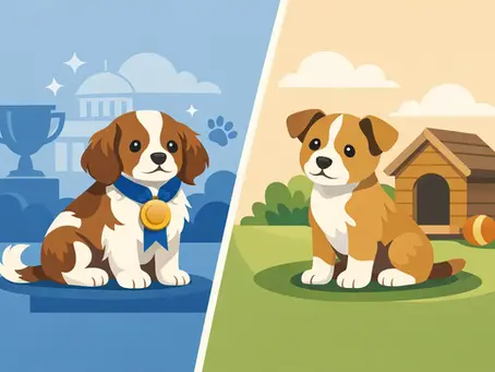 AKC Versus Non AKC Puppies Explained