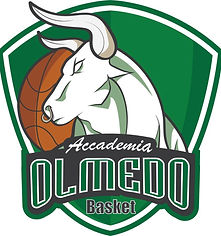 logo olmedo nuovo.jpg