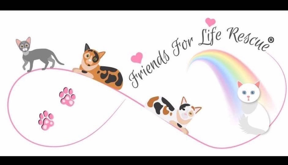 Friends for life cat rescue shop