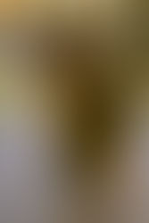 My photography is changing!