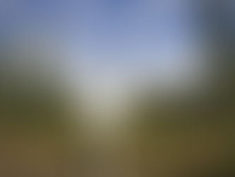 Risk Management in Land Investment: Strategies for Success