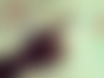 The Significance of Local Zoning Regulations on Land Use and Development