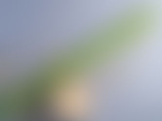 The Importance of Land Size and Shape for Vacant Land