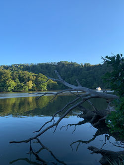 Devon yoga qigong & meditation retreat