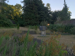 Devon yoga qigong & meditation retreat
