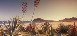 Spain yoga retreat Playa Genoveses Cabo-de-Gata