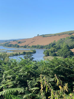 Devon yoga qigong & meditation retreat