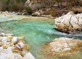 kamniška bistrica yoga retreat _edited.j