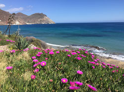 Almeria