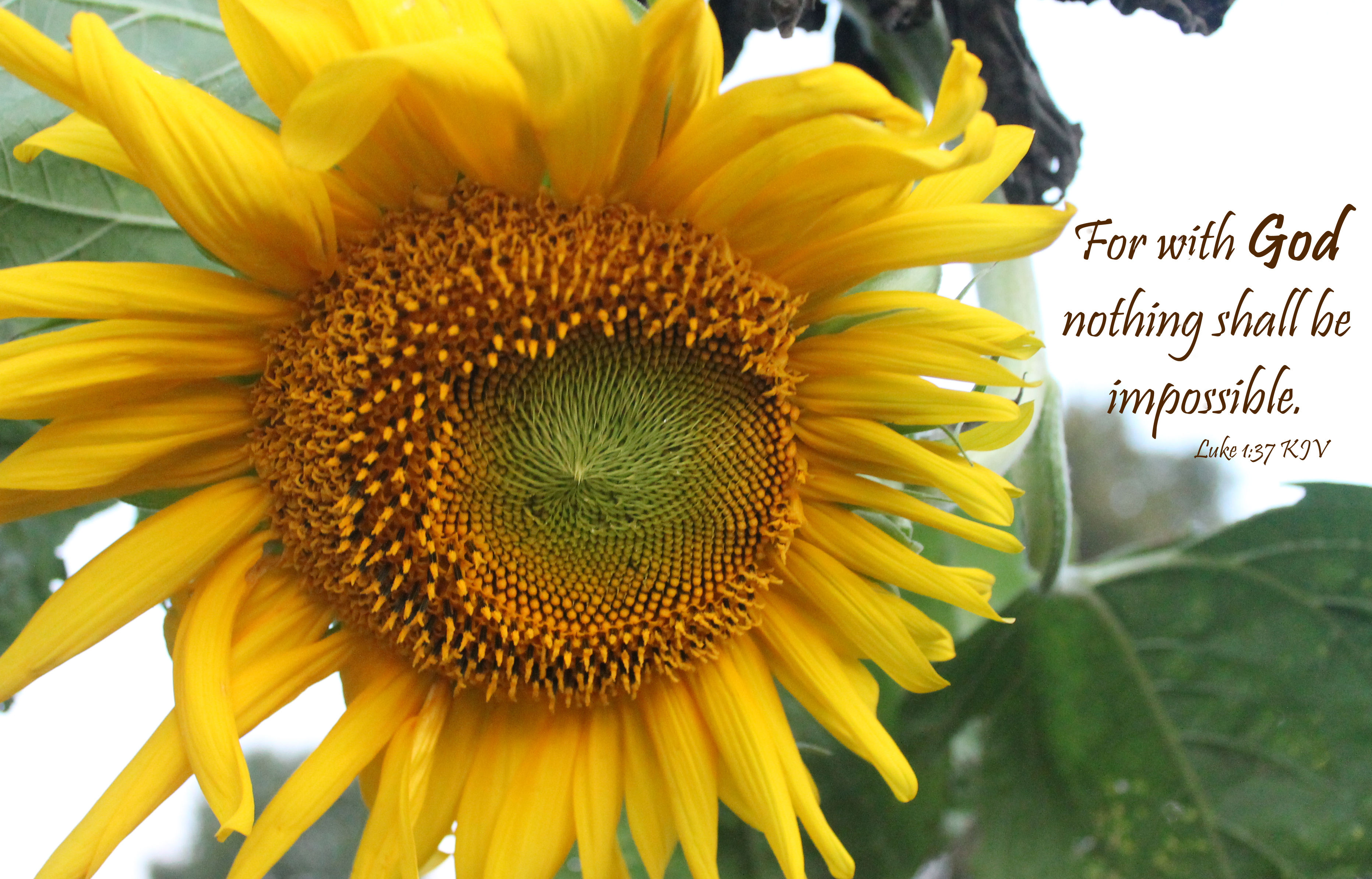 Luke 1:37 KJV
