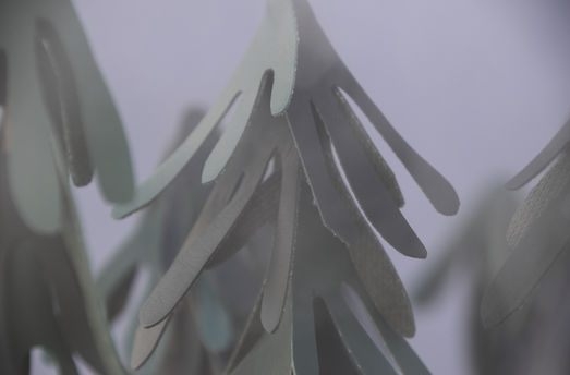 In the Forest 08 0709 website.JPG