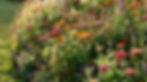 Cottage Garden Charm