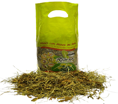 Feno com Dente de Leão