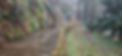 20251129_090018.jpg