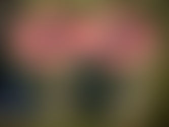 高靈、諸佛菩薩怎麼看學校霸凌