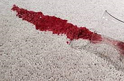 stain on carpet.png