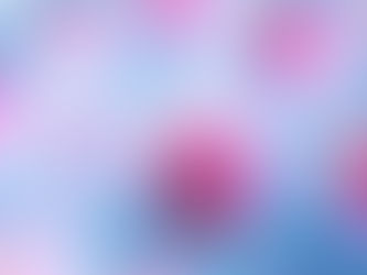 身體與能量的關係(中)