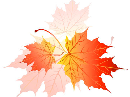 Happy November