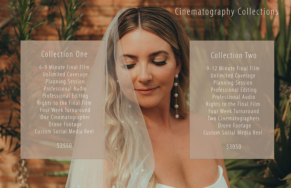 videopricing Page 2025 copy.jpg