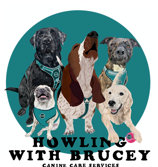 Howling with Brucey Logo