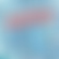 Mental Illness or Gun Control