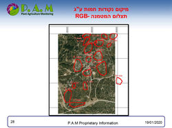 שקופית28