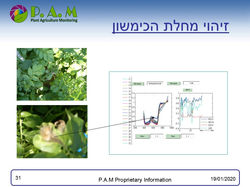 שקופית31