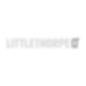 Littlethorpe of Leicester Limited