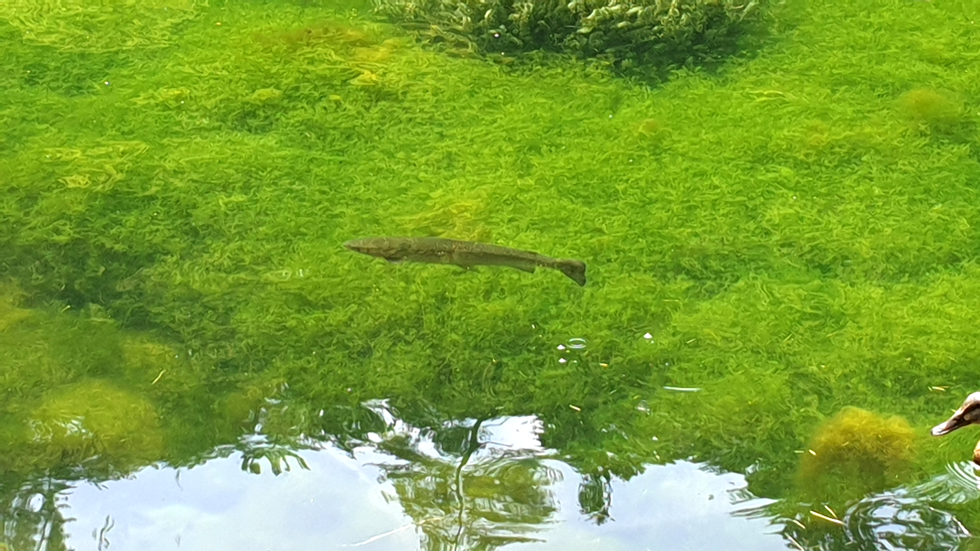 20190610_141417